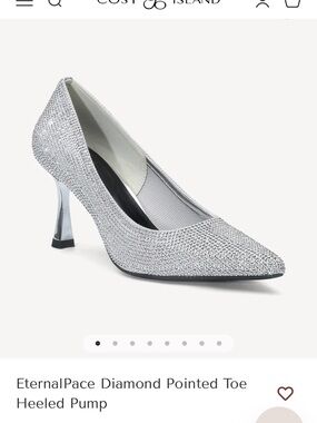 NWT Cosy Island Sparkling Silver Pointed-Toe Heeled Pump size 9.